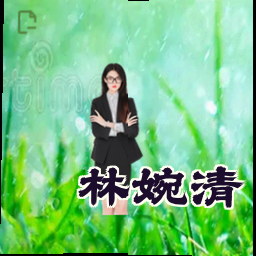 林婉清